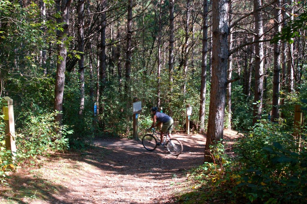 mountain biker on a woodsy trail