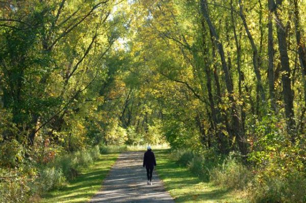 Hiking At Rice Creek Chain Of Lakes • Twin Cities Outdoors 1098