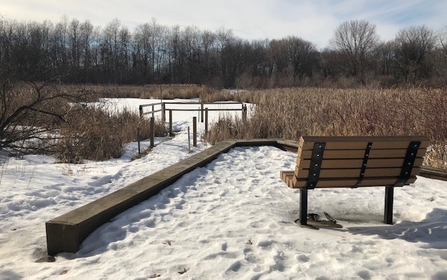 snowy trail, bench and pond