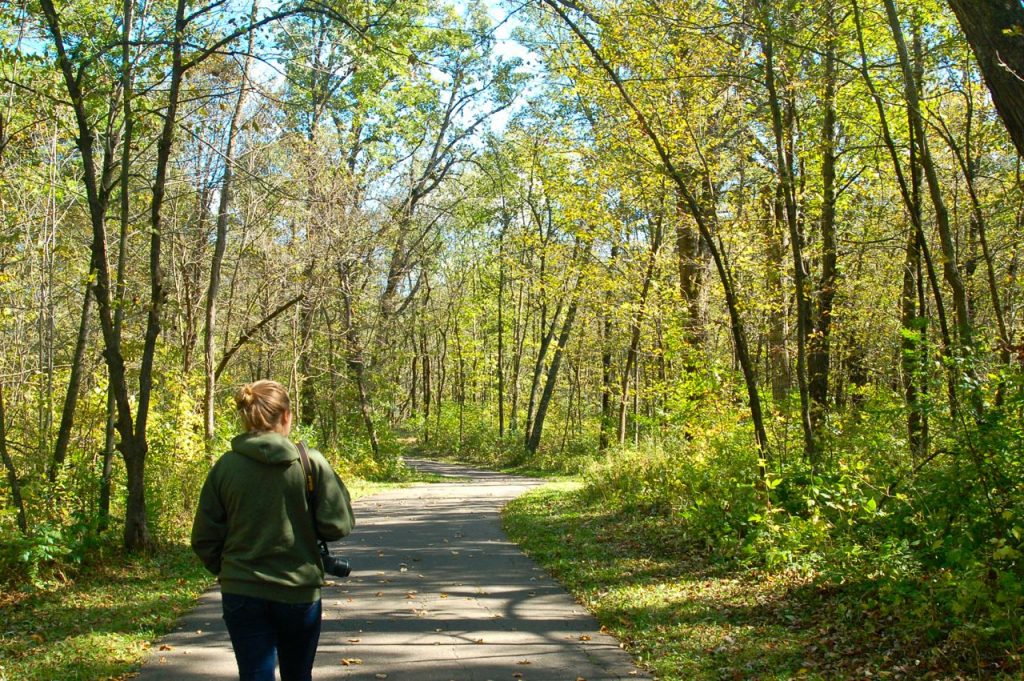 woman hiking on a paved trail in Rum River Central Regional Park, through the woods