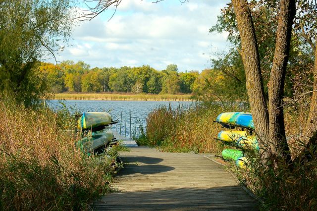 kayaks