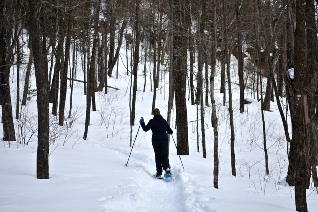 snowshoe trail