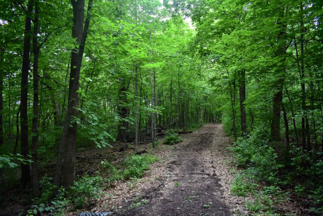 hiking trail carver park reserve