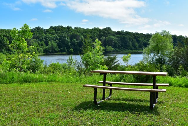picnic table overlooking Crosby Lake at Carver Park Reserve