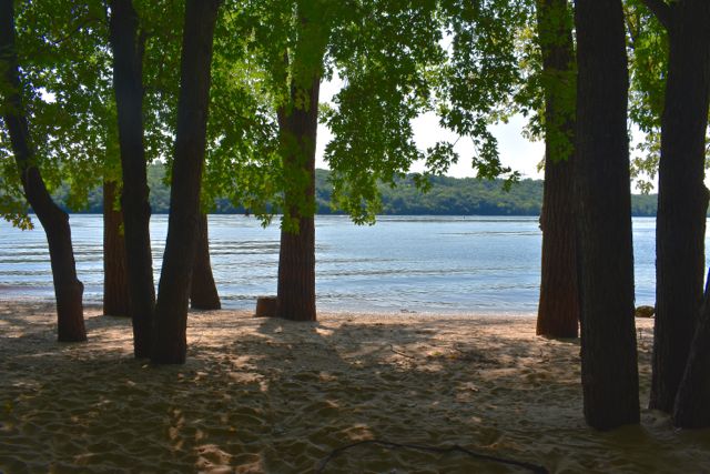 swimming beach on the st croix river at afton state park