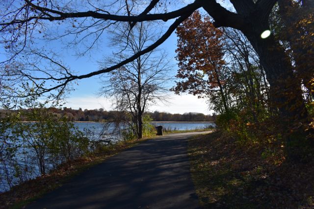 shaded paved trail in the woods next to fish lake