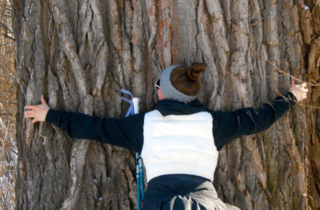 girl hugging a huge cottonwood in the winter