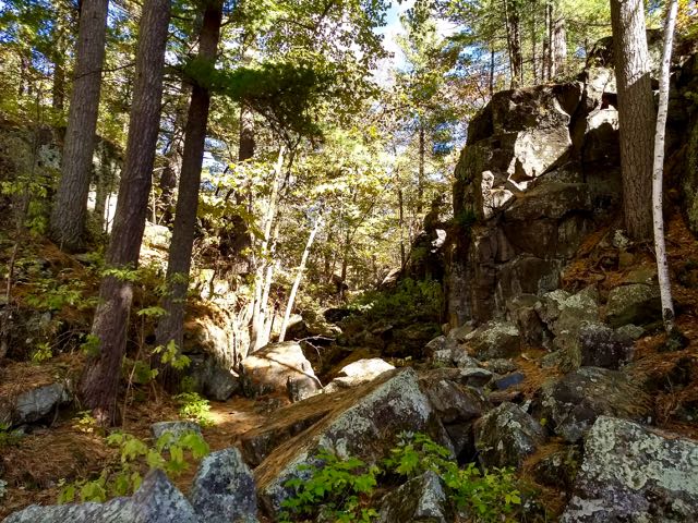 beautiful hiking trail in the woods with mature pines and large boulders
