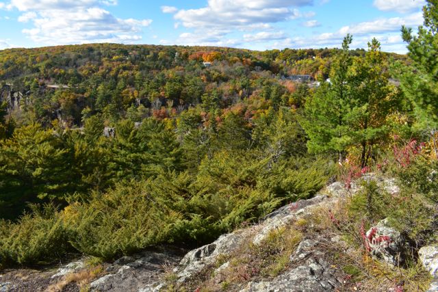 hiking trail overlooking a forest and st croix river valley in early fall