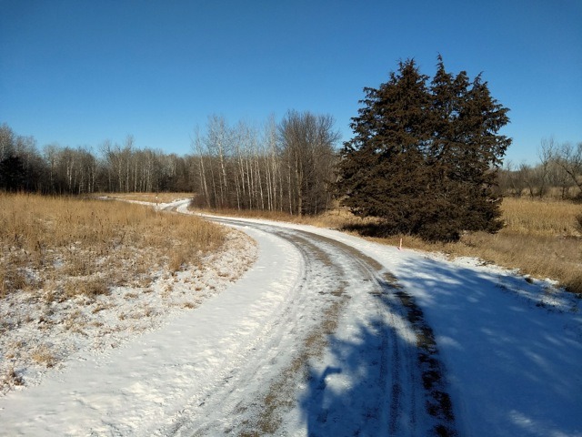 rice creek north regional trail in the winter