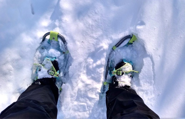 snowshoes