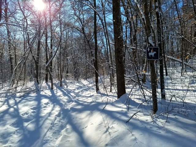 horse trail through the woods, used by snowshoers, too, sun shining through the trees