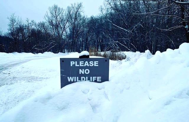 "please no wildlife" sign covered in snow