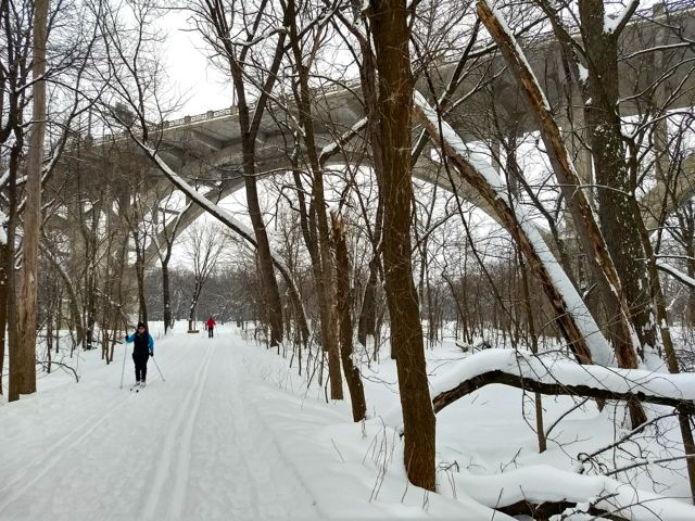 cross country skiers in fort snelling state park, going under the mendota bridge