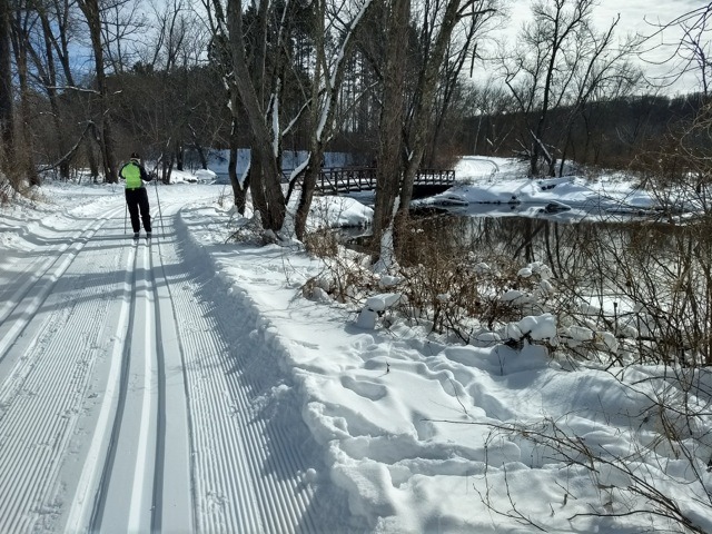 Skier on the Deer Creek Loop ski trail  at Wild River State Park