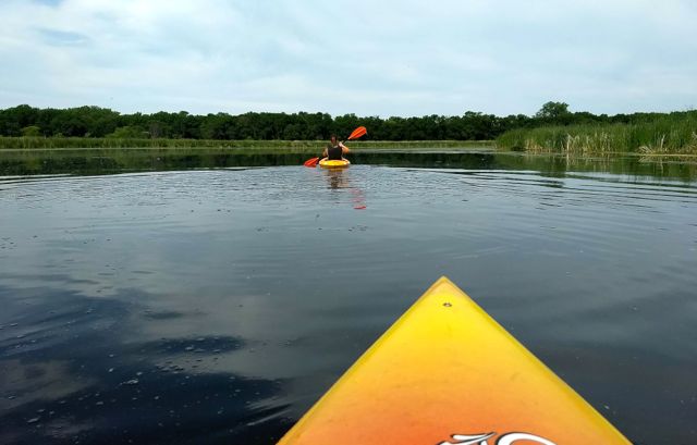 kayakers