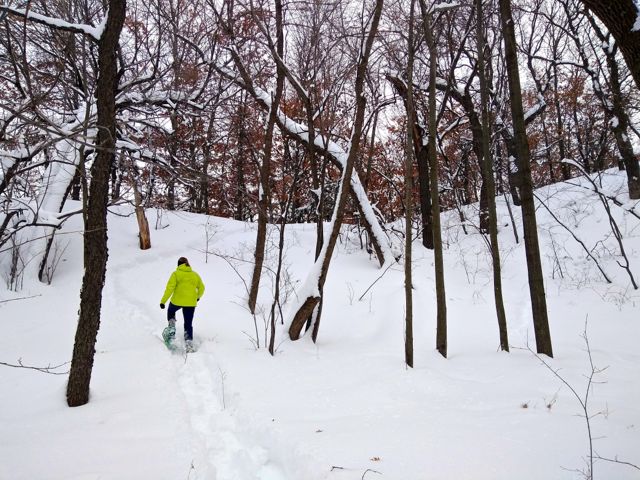 winter snowshoeing