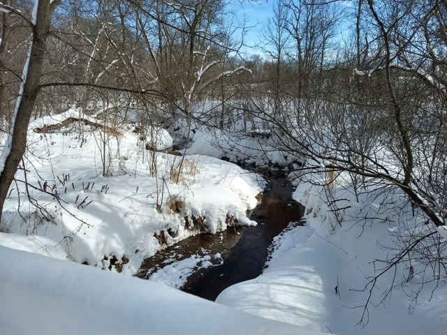 little creek at Wild River State Park with snow-covered banks and trees