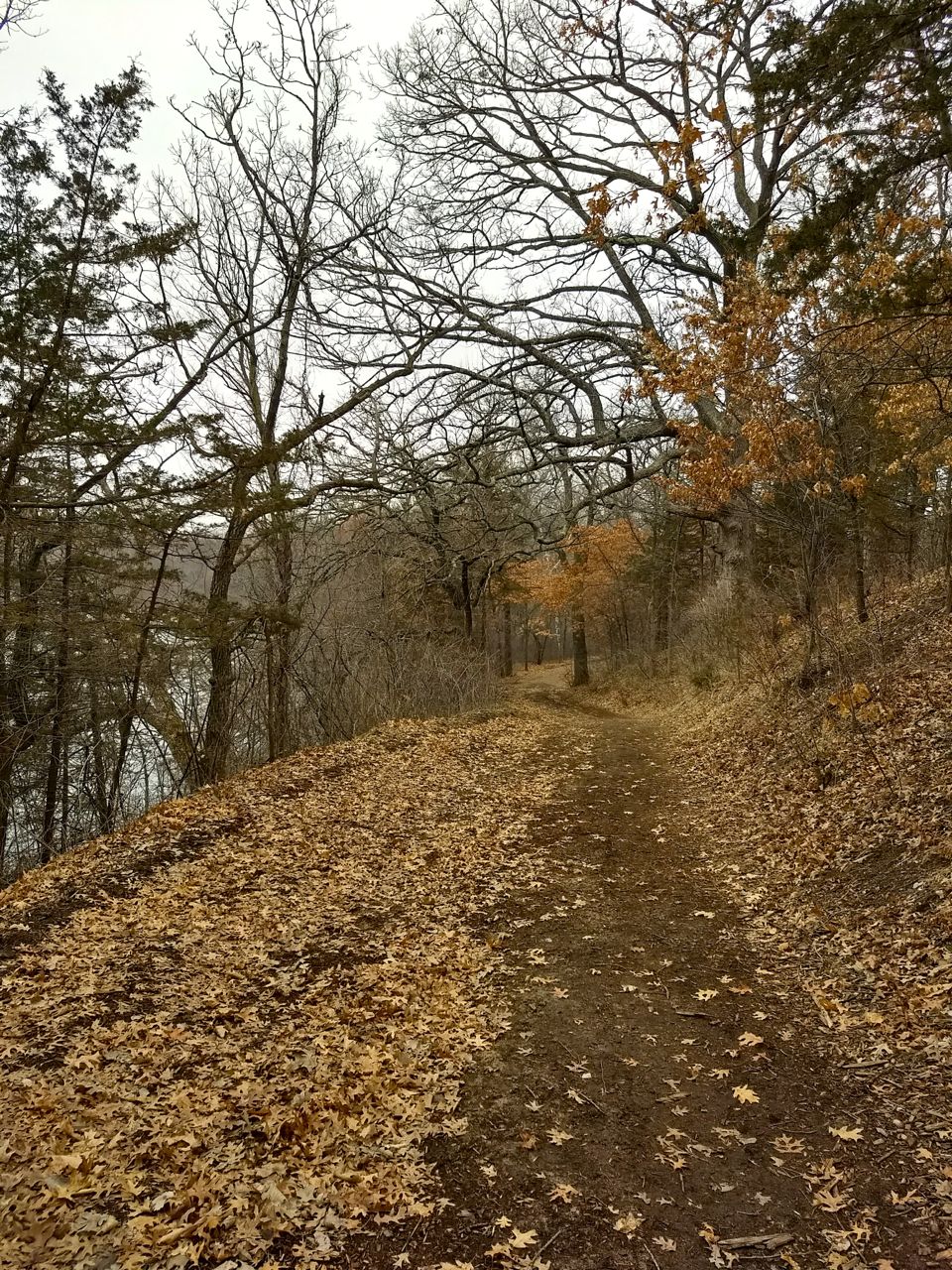 Hiking in Rum River North County Park • Twin Cities Outdoors
