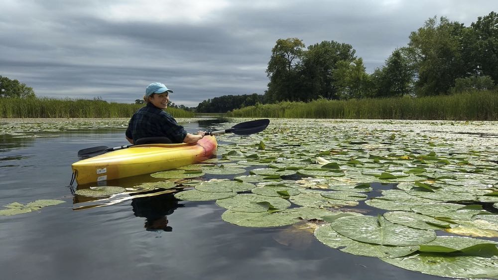 kayaker on big marine lake among lily pads