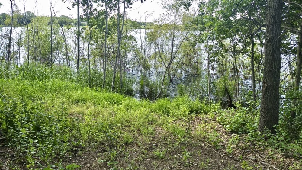 louise lake, pine point regional park