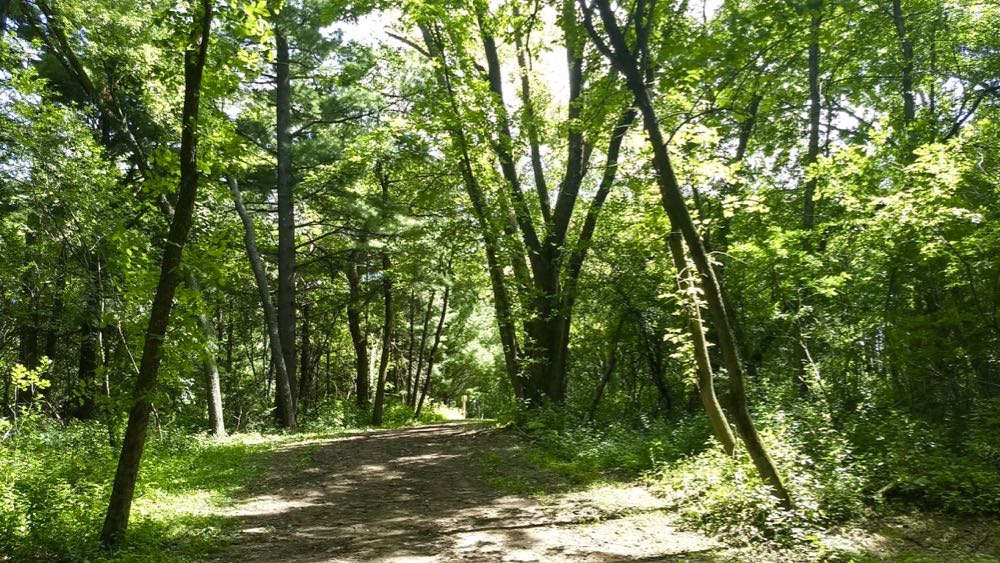 pine point park hiking trail