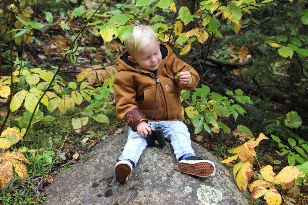 little boy sitting on a rock looking at a leaf