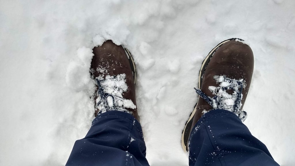 LL Bean Alpine Hikers