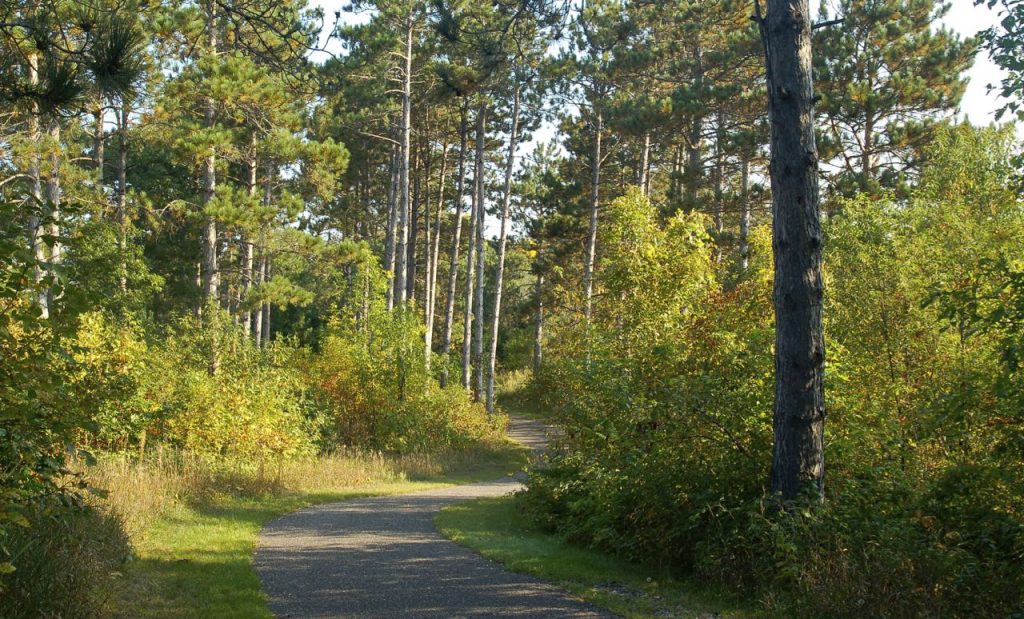 bike path through the woods