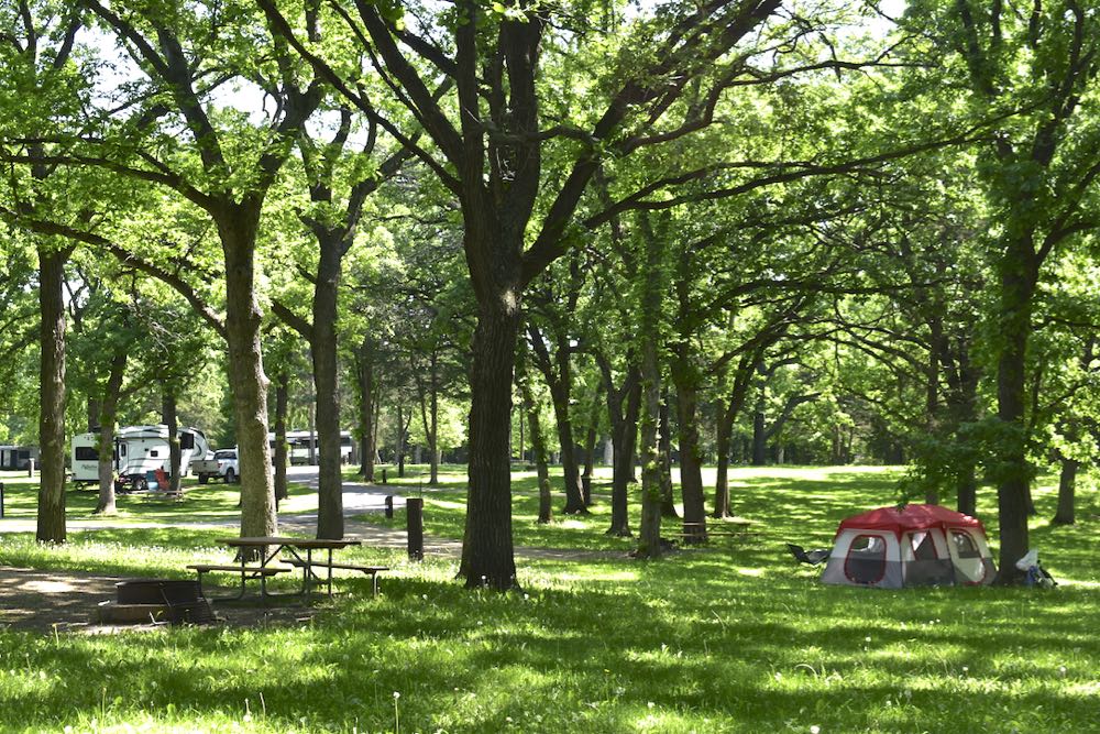 tent and RVS in shaded campsites at St Croix Bluffs Campground