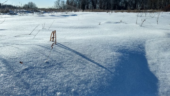 fresh sparkling snow on a field
