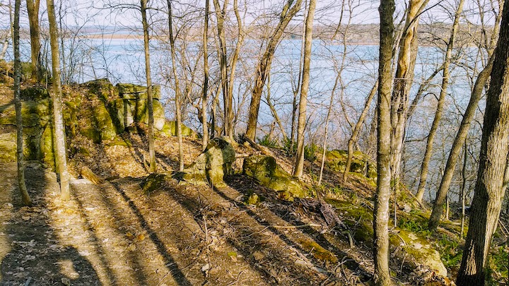 the mississippi river through the trees on the schaar's bluff trail
