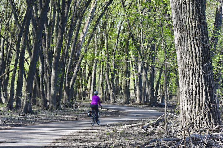 biker in crosby farm regional park, surrounded by mature trees