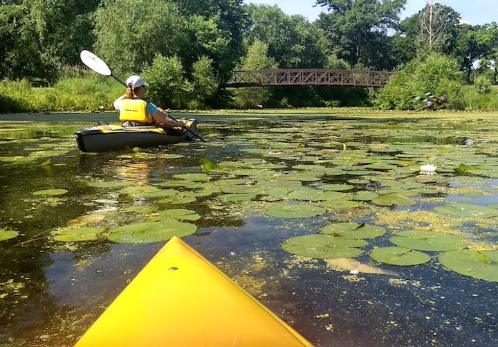 kayaking through lily pads