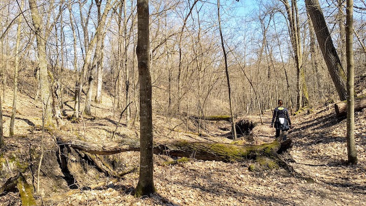 afton state park trail map