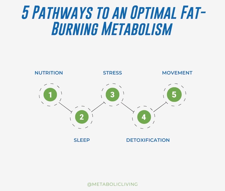 5 pathways to fat burning chart
