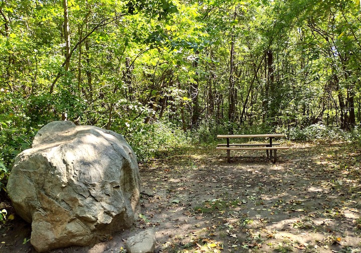 picnic spot along cleary lake paved trail loop