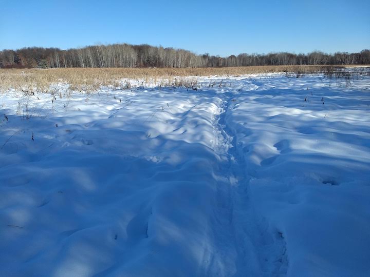 snowshoe trail across a frozen marsh