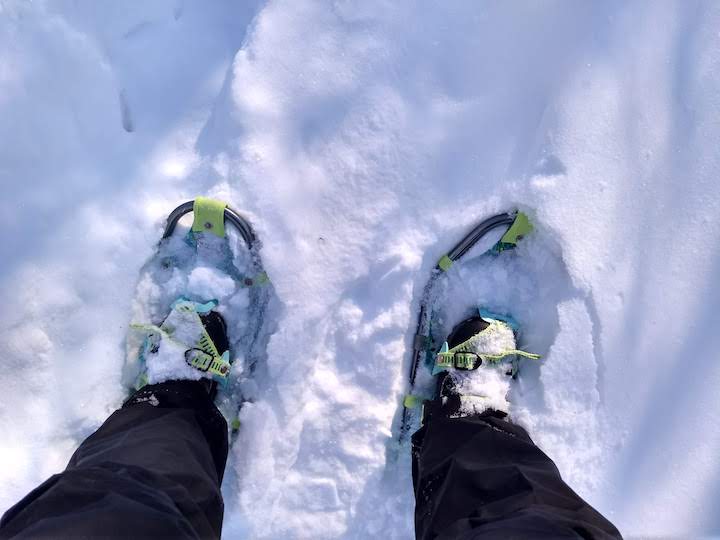 snowshoes in the snow