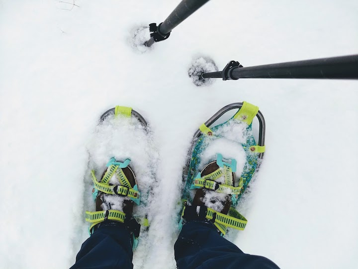 snowshoes with poles