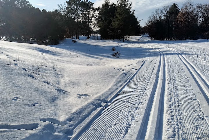 groomed cross country ski trail with animal tracks