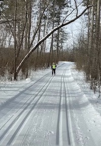 cross country skier winter