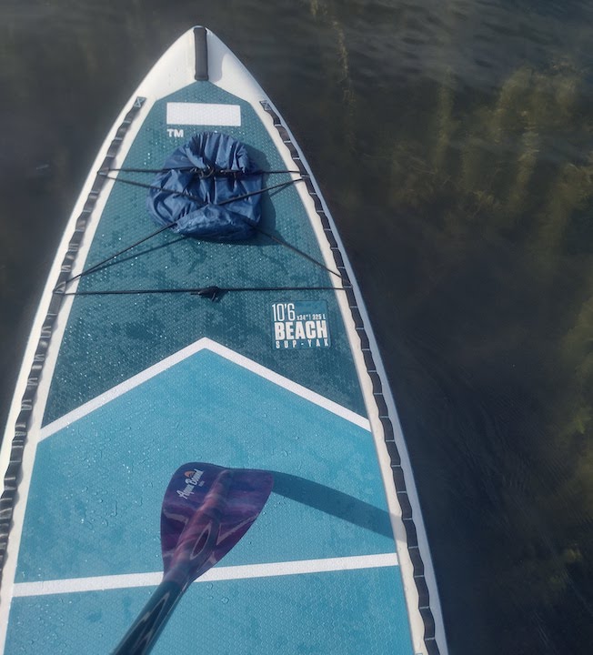 paddle board and SUP paddle, looking down into the lake to see aquatic plants