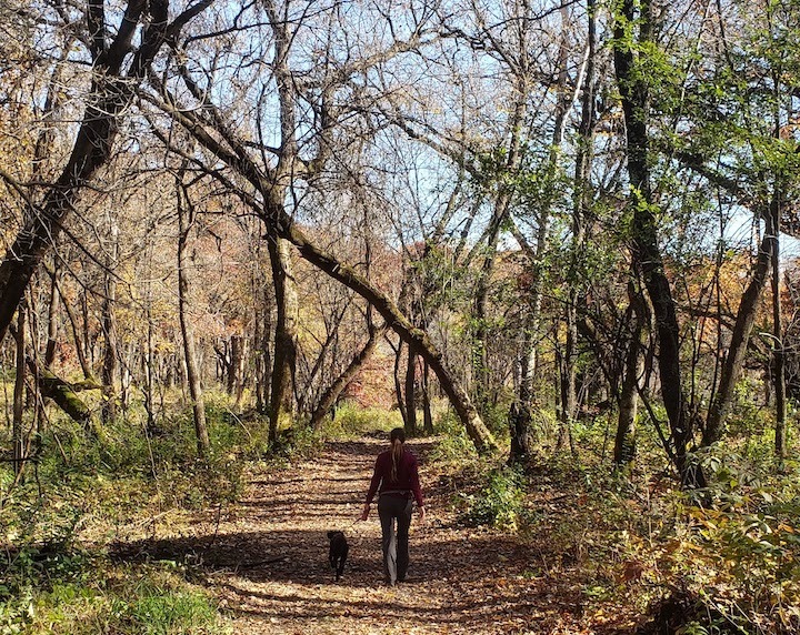 a woman walks her dog on a hiking trail through the woods, fall