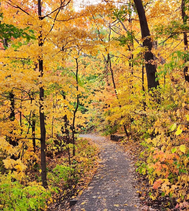 Winchell Trail in autumn