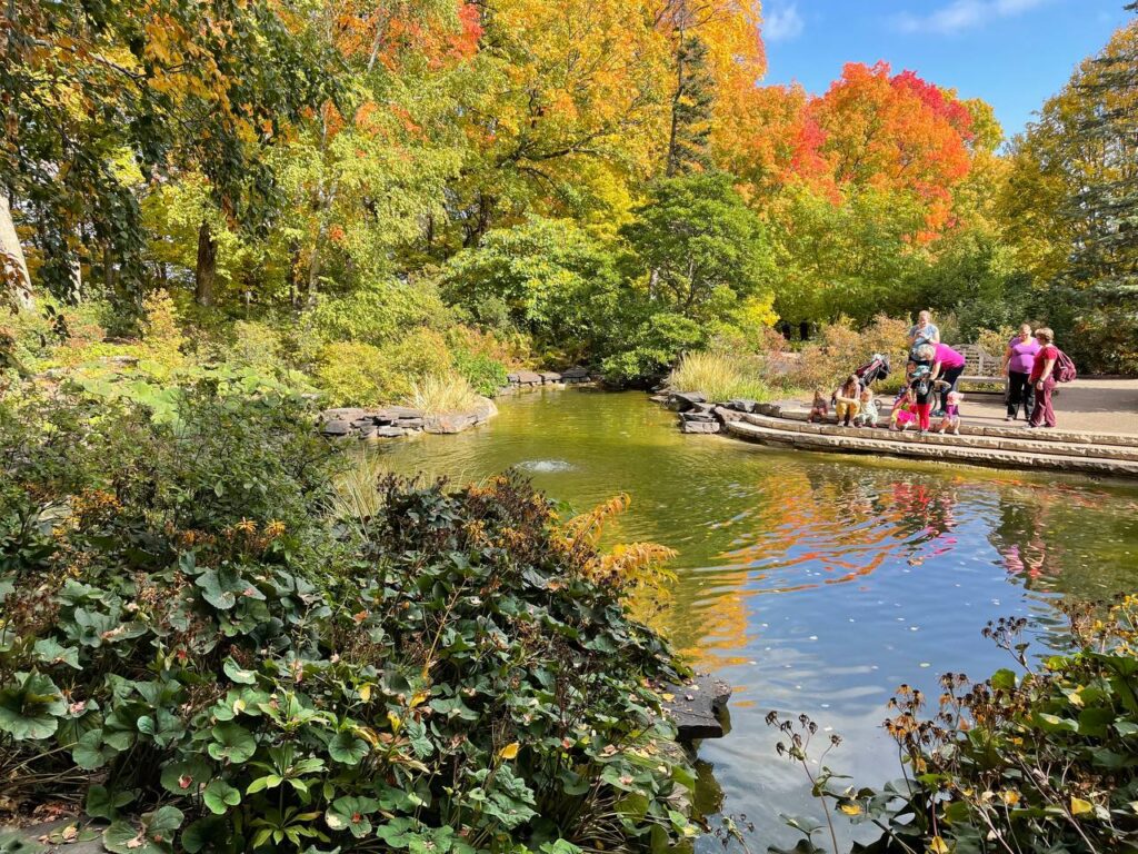 a family next to a pond at MN Arboretum' trees in fall color in the background