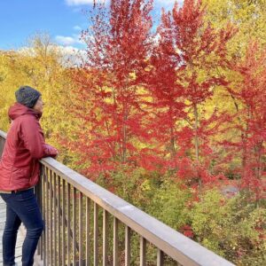 Favorite Local Fall Color Trails