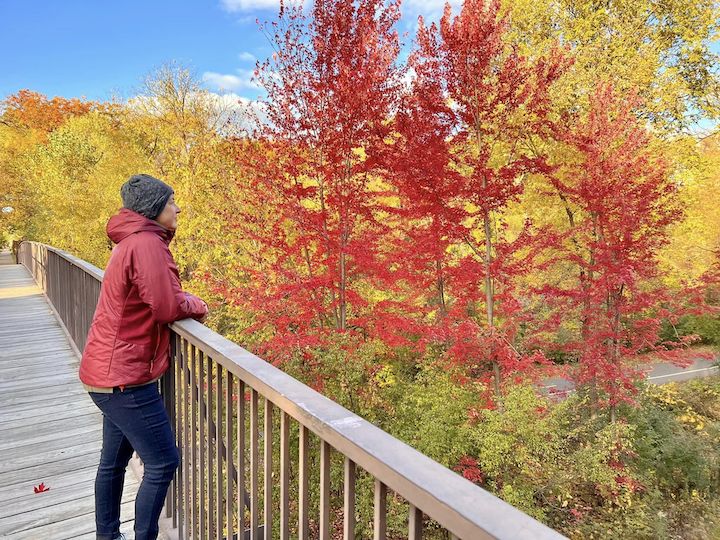 woman on a footbridge looking at bright red trees
