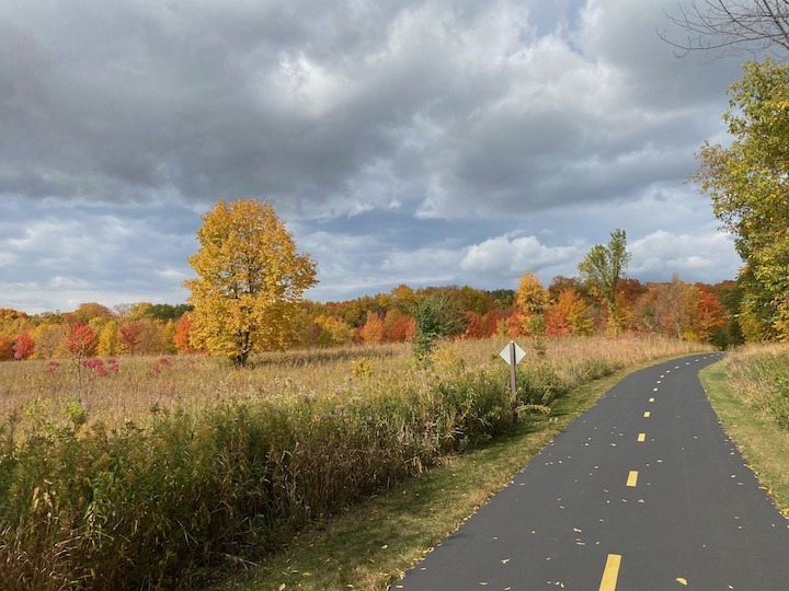 paved bike trail with meadow and forest in autumn