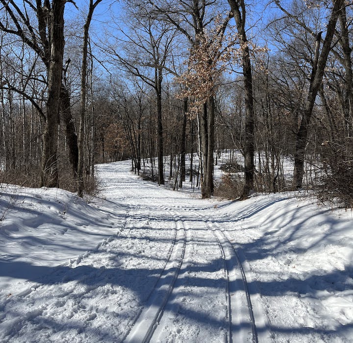 cross country ski trail through the woods at battle creek east regional park